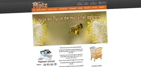 Site Boutique en ligne ecommerce Apiz